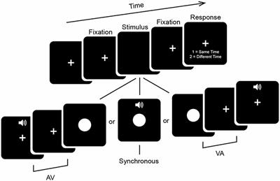 Event Related Potentials Index Rapid Recalibration to Audiovisual Temporal Asynchrony